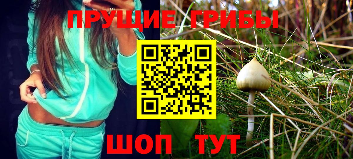 Псилоцибиновые грибы Psilocybine cubensis  Вход с VPN  Королёв 